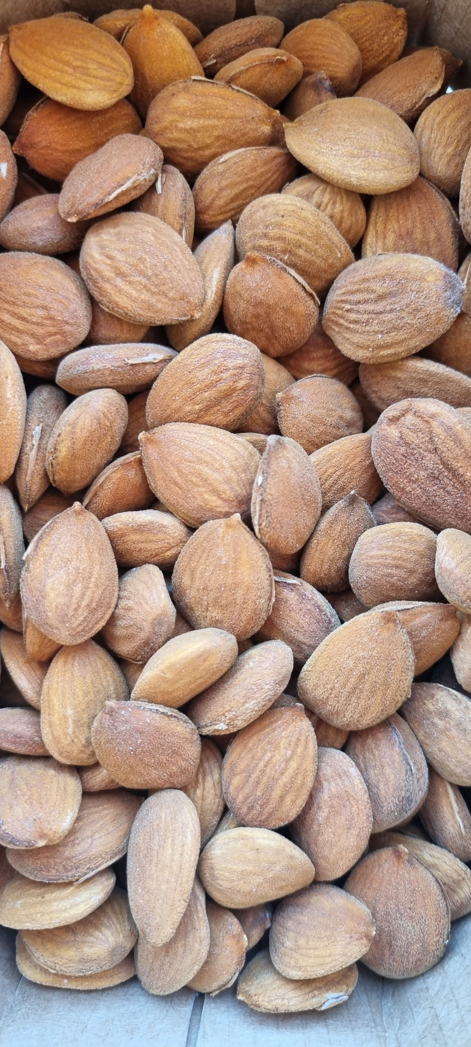 Shelled almonds, Belona variety, 1 kg