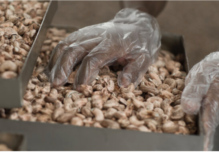 100% Organic Tanzanian Raw Cashew Nut Kernels - W180 W240 W320