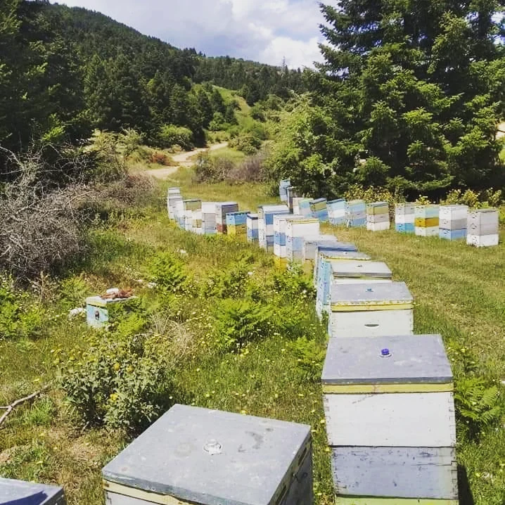 1 kg of Honey honey
