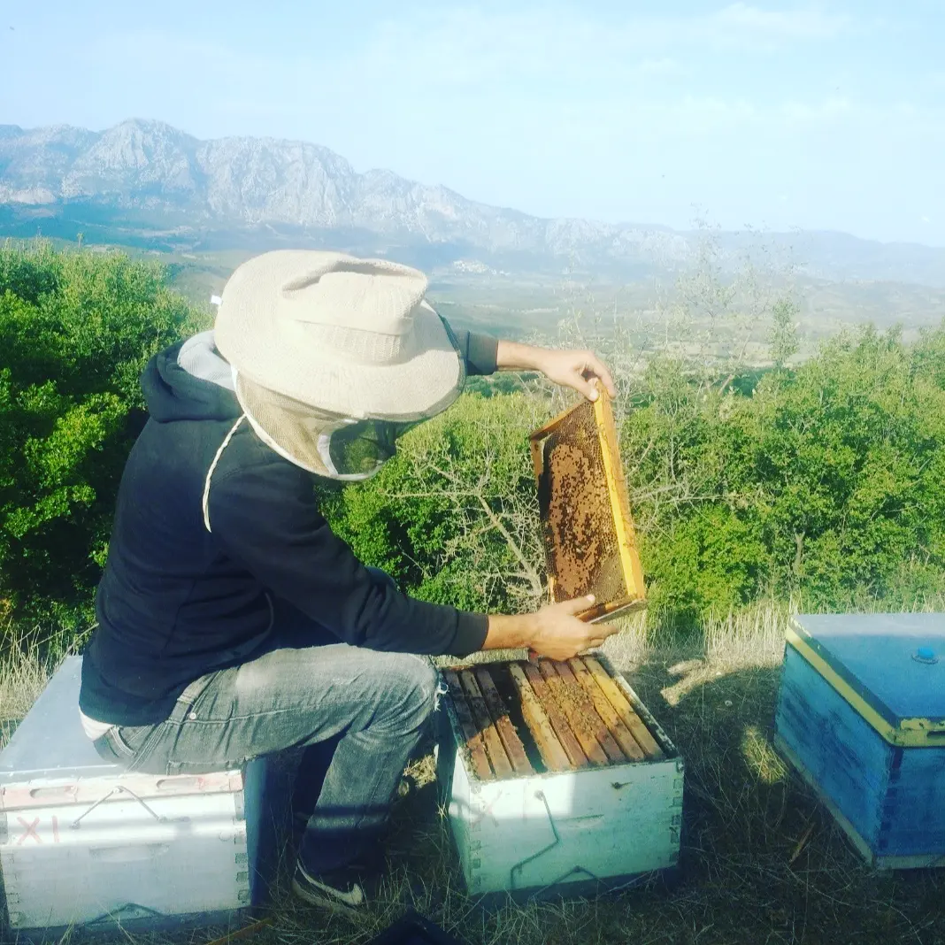 Flower Honey 500 g