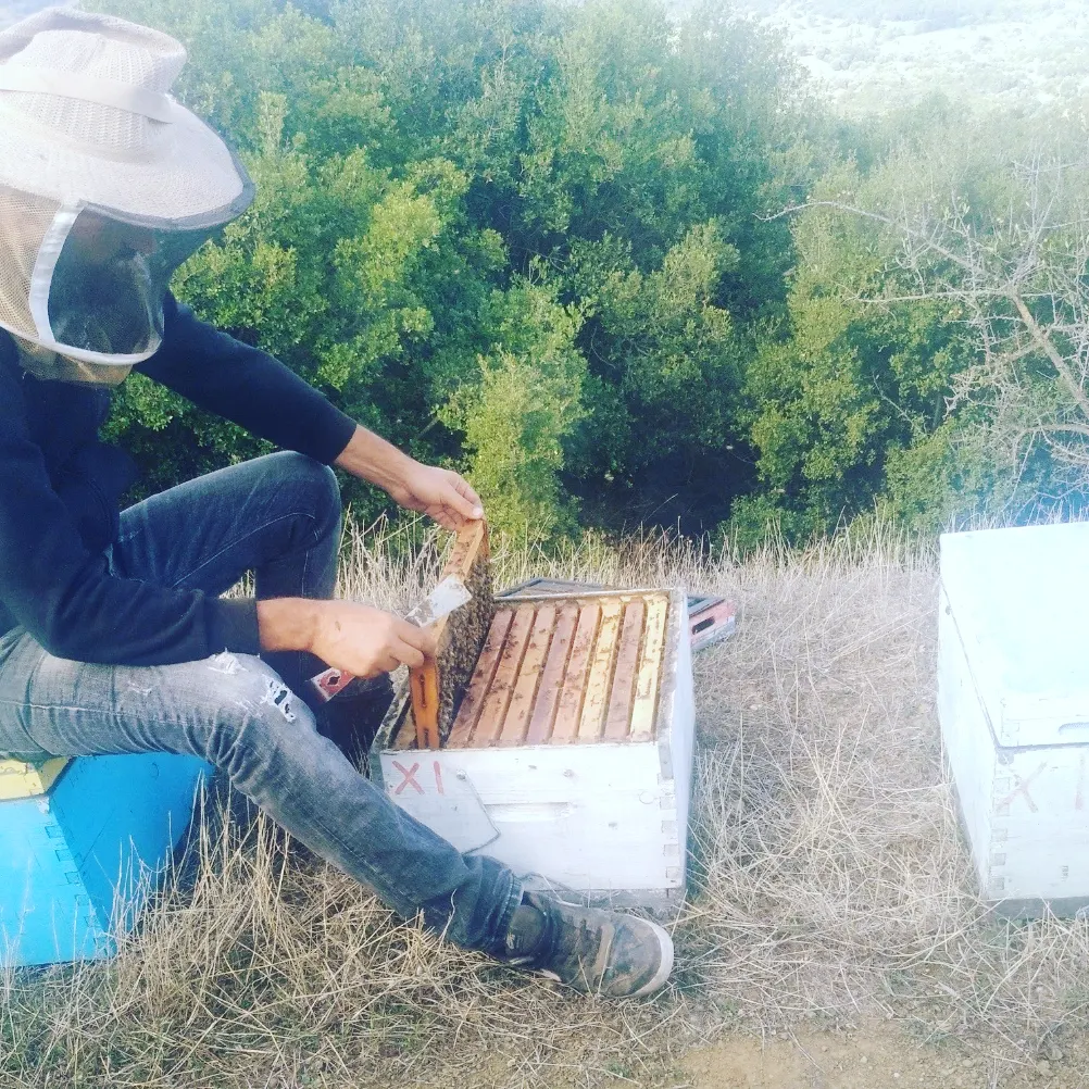 Flower Honey 500 g