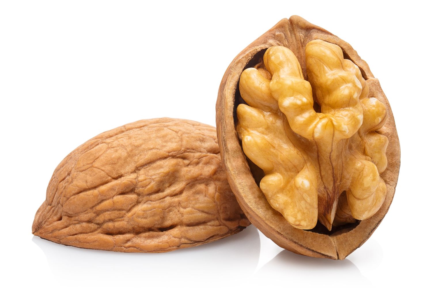 Chandler walnut 32-34 in shell first quality - bag 10kg origin Spain