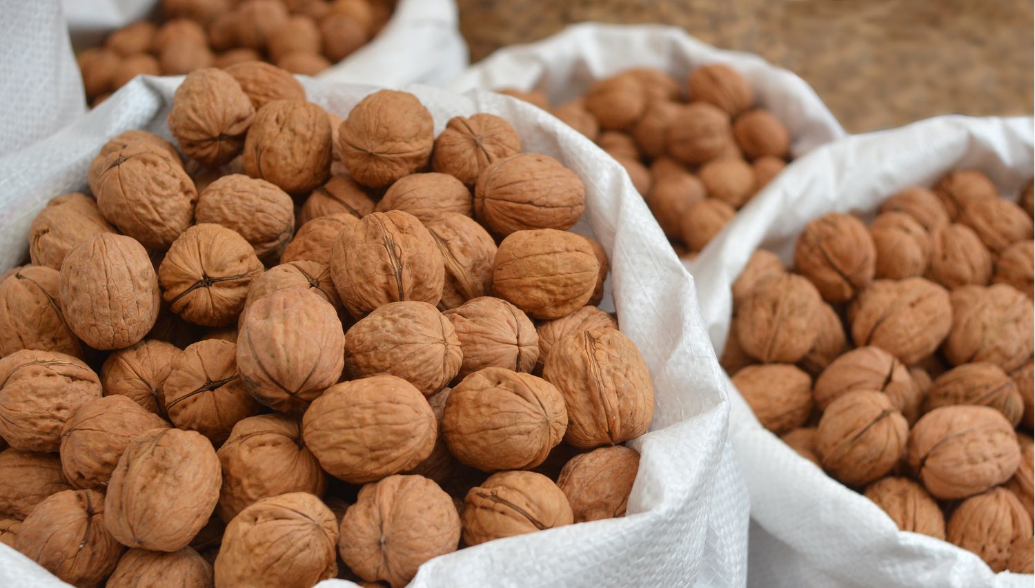 Chandler walnut 32-34 in shell first quality - bag 10kg origin Spain
