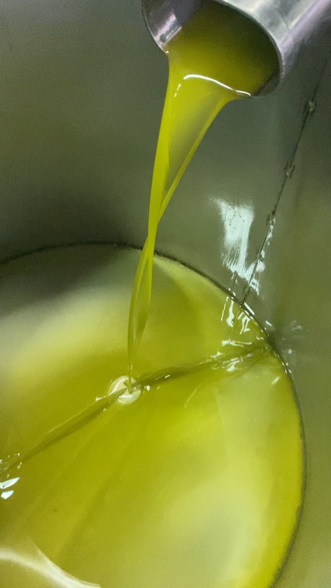 Cold pressed Sicilian extra virgin olive oil