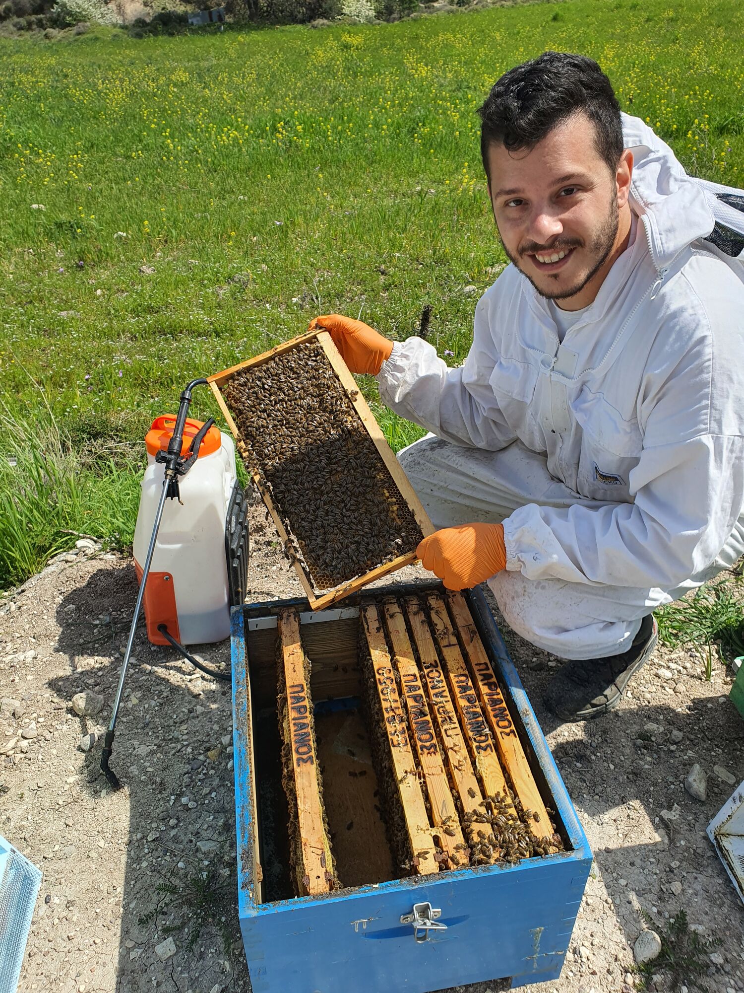 Thyme honey 500gr