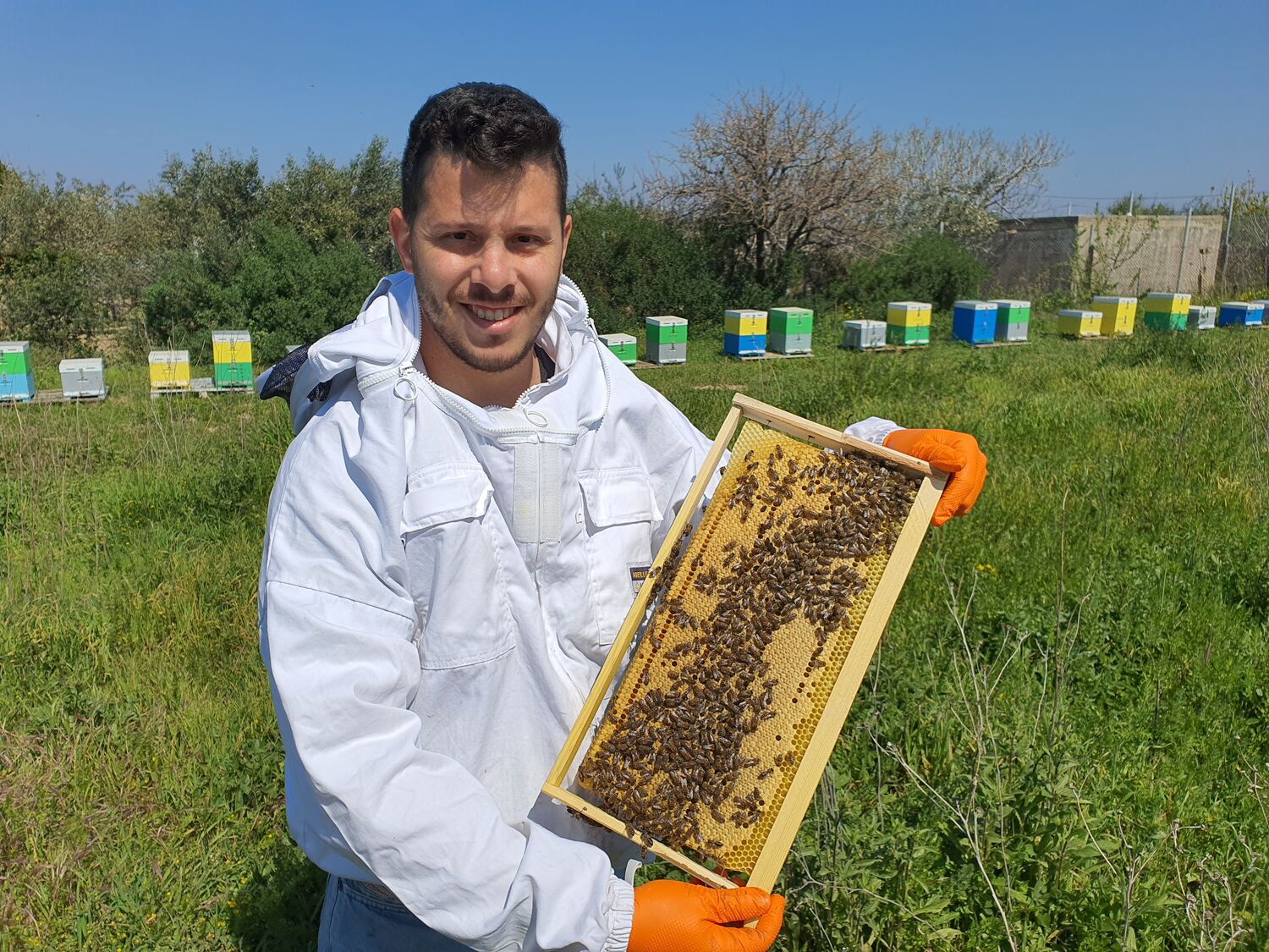 Thyme honey 500gr