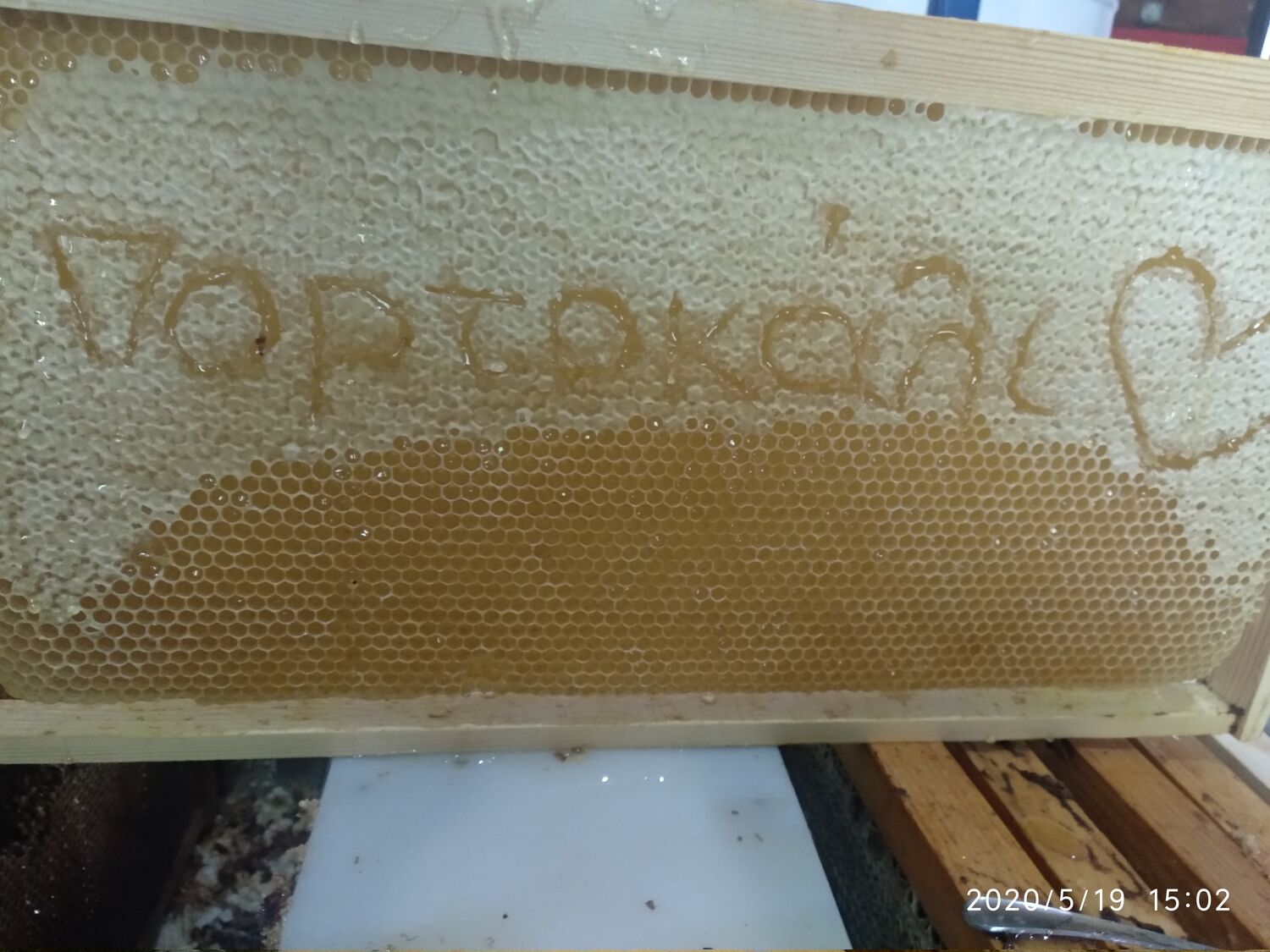Pine Honey with fir