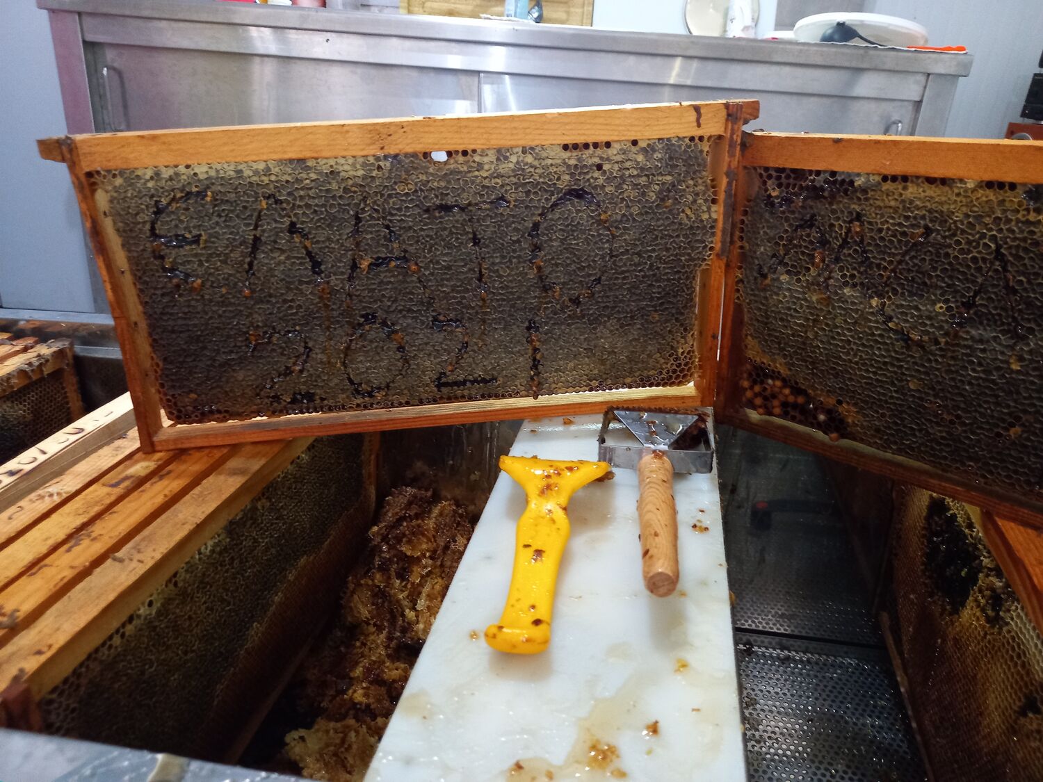 Pine Honey with fir