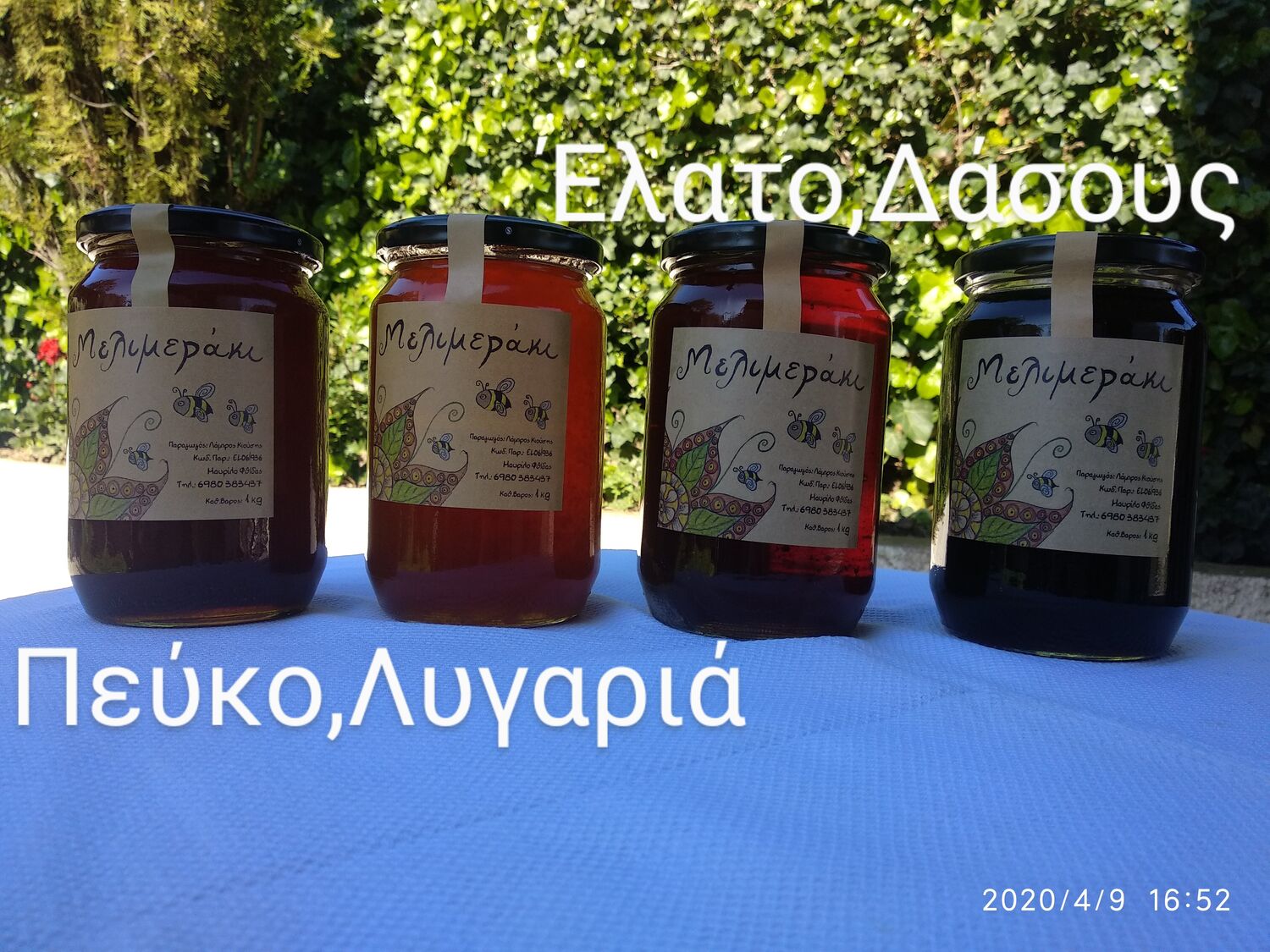 Pine Honey with fir