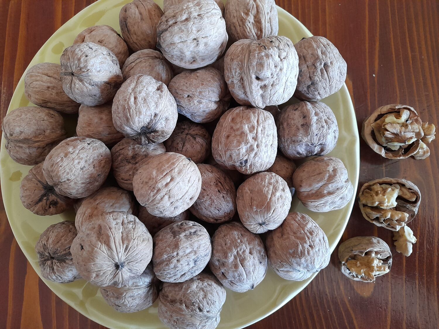 greek walnuts in shell