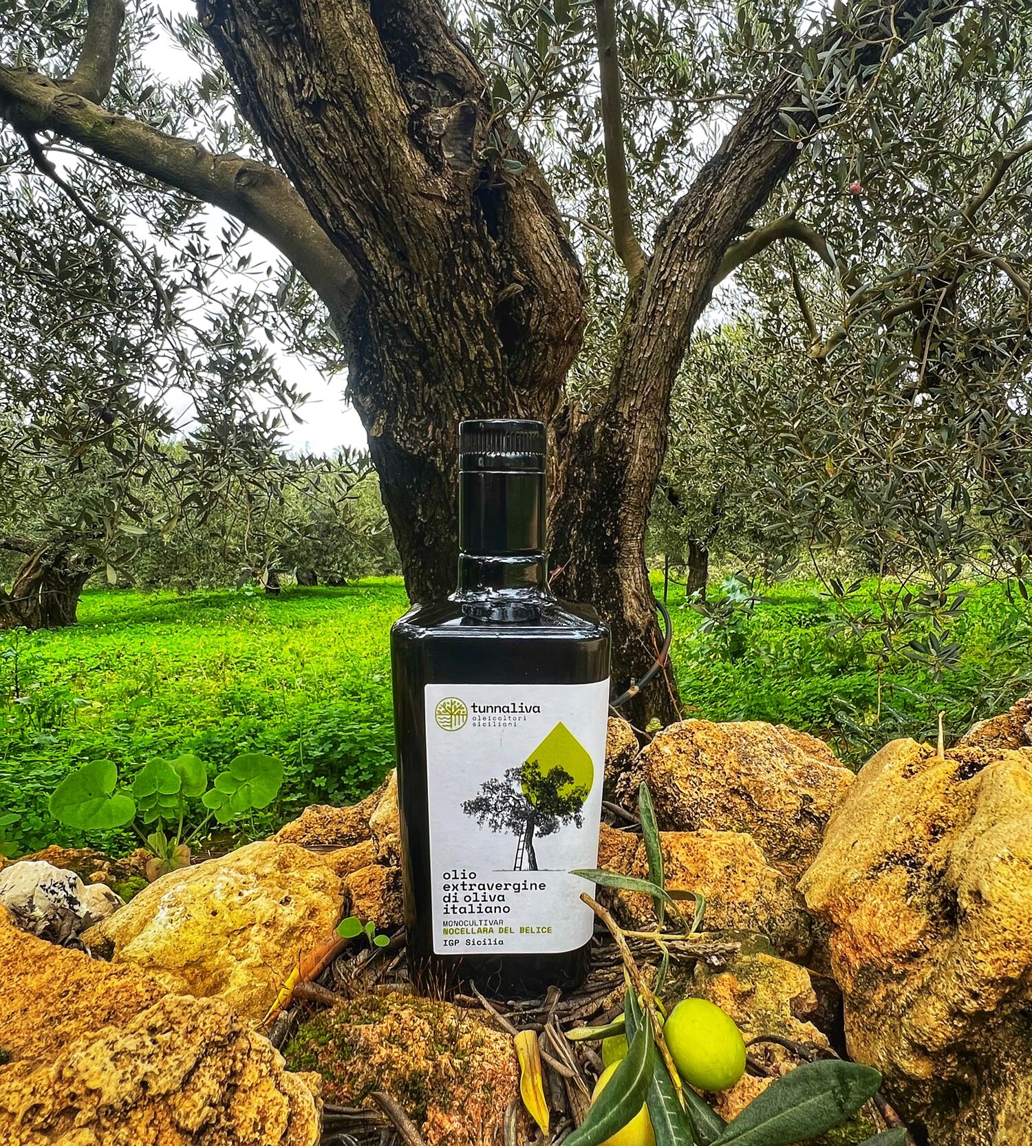 EVOO - Bottle 250 mL - IGP SICILIA