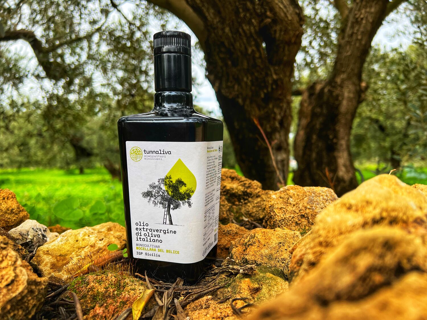 EVOO - Bottle 500 mL - IGP SICILIA