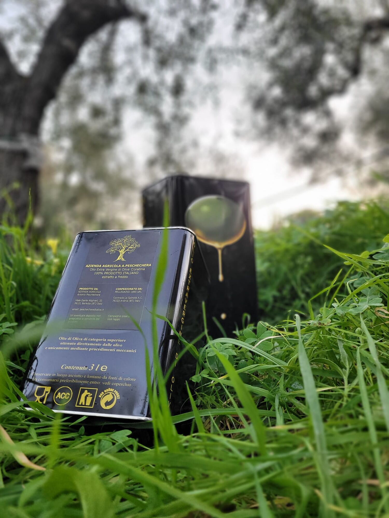 Extra Virgin Olive Oil 3 lt