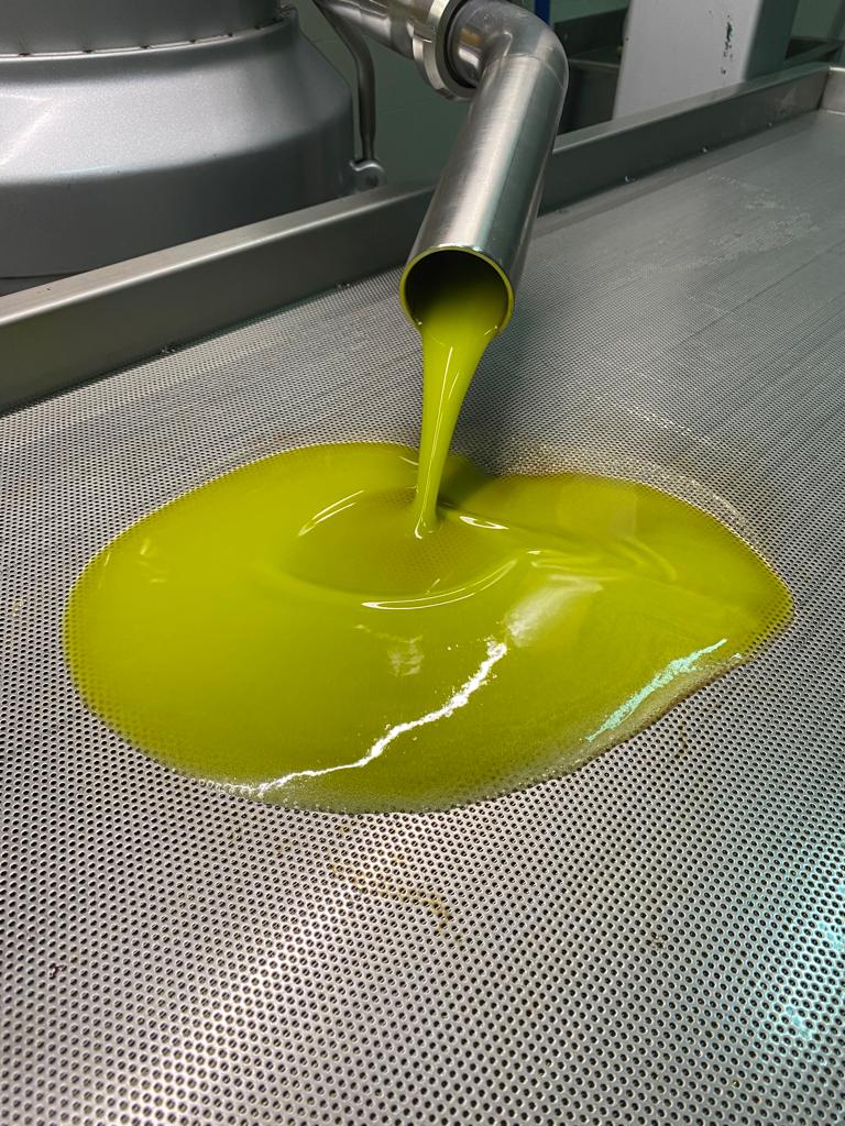 Extra Virgin Olive Oil 3 lt