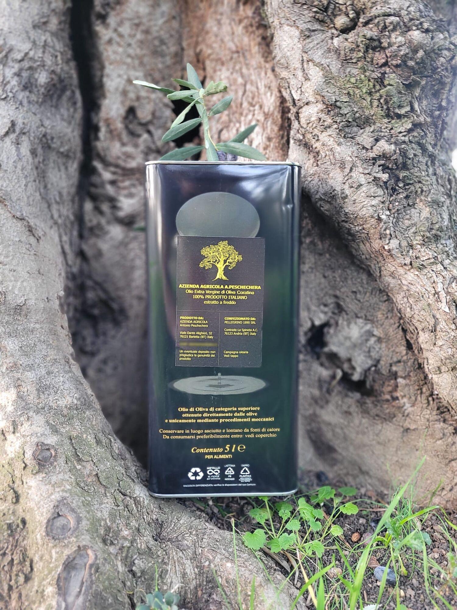 Extra Virgin Olive Oil 5 lt