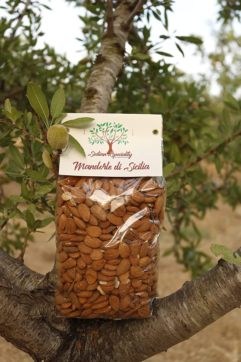 Shelled Sicilian Almonds 1 kg