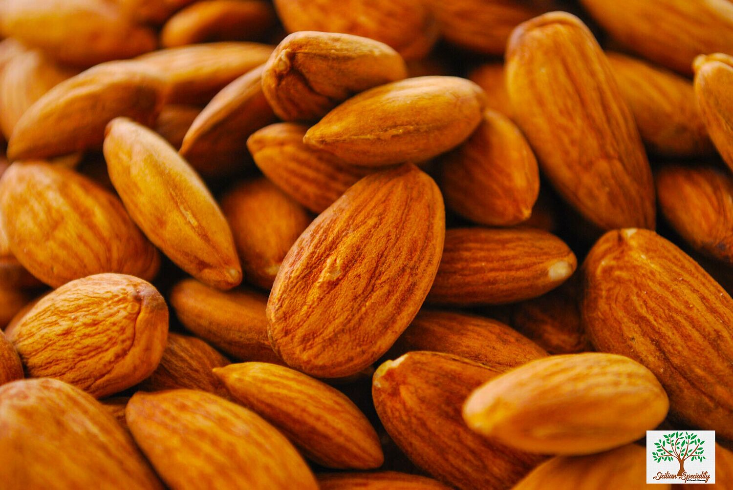 Shelled Sicilian Almonds 1 kg