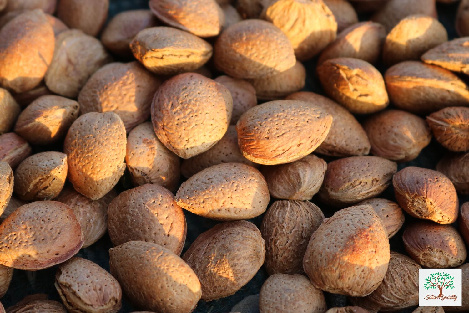 Sicilian Almonds in Shell 1kg in a premium bag