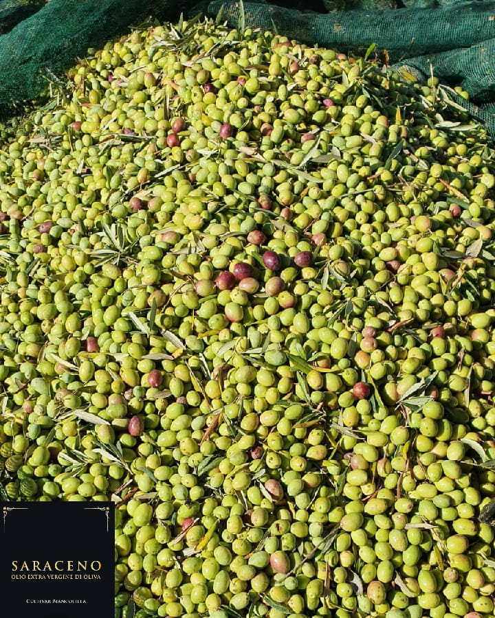 Saracen Extra Virgin Olive Oil 5 litres