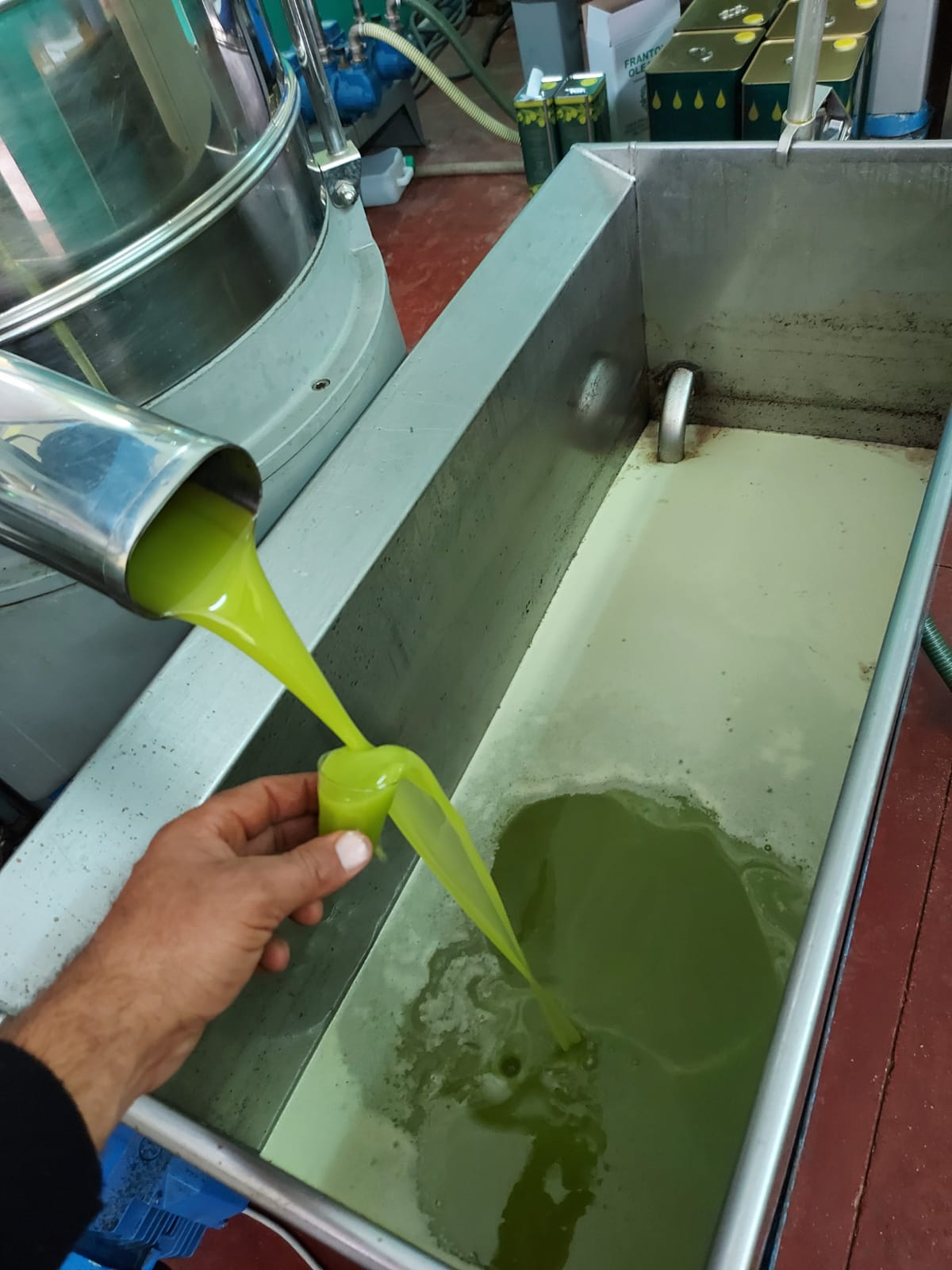 Saracen Extra Virgin Olive Oil 5 litres