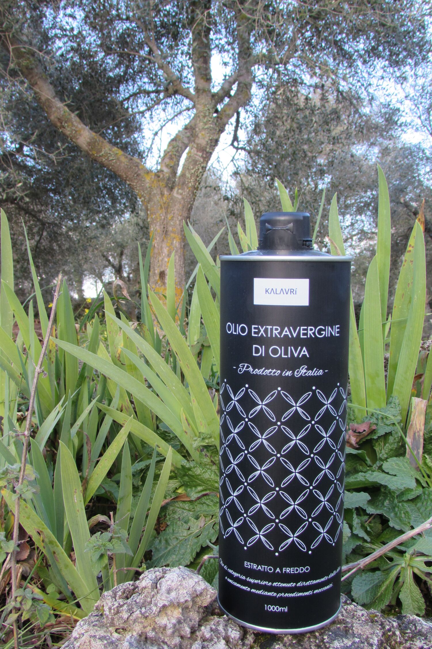 Extra Virgin Olive Oil - 1 liter can. Pack of 3 cans.