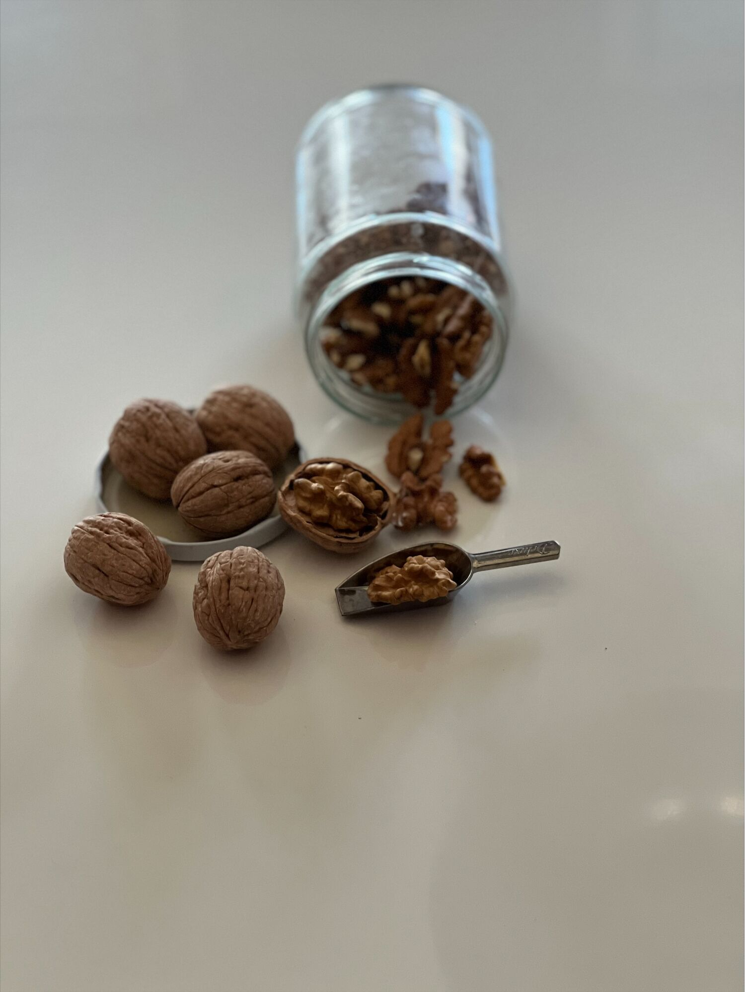 Chandler Walnuts in shell