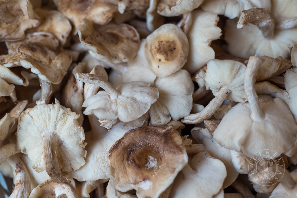 Shiitake mushrooms 1kg