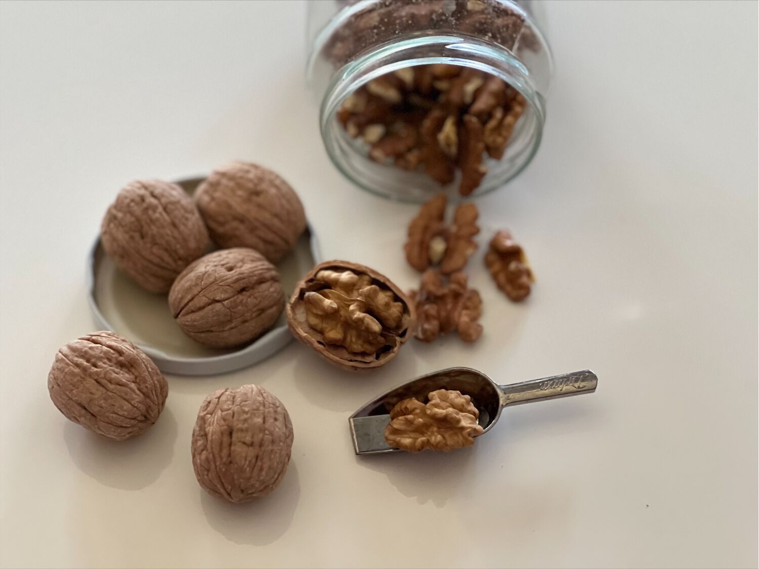 Walnut Chandler in kernels