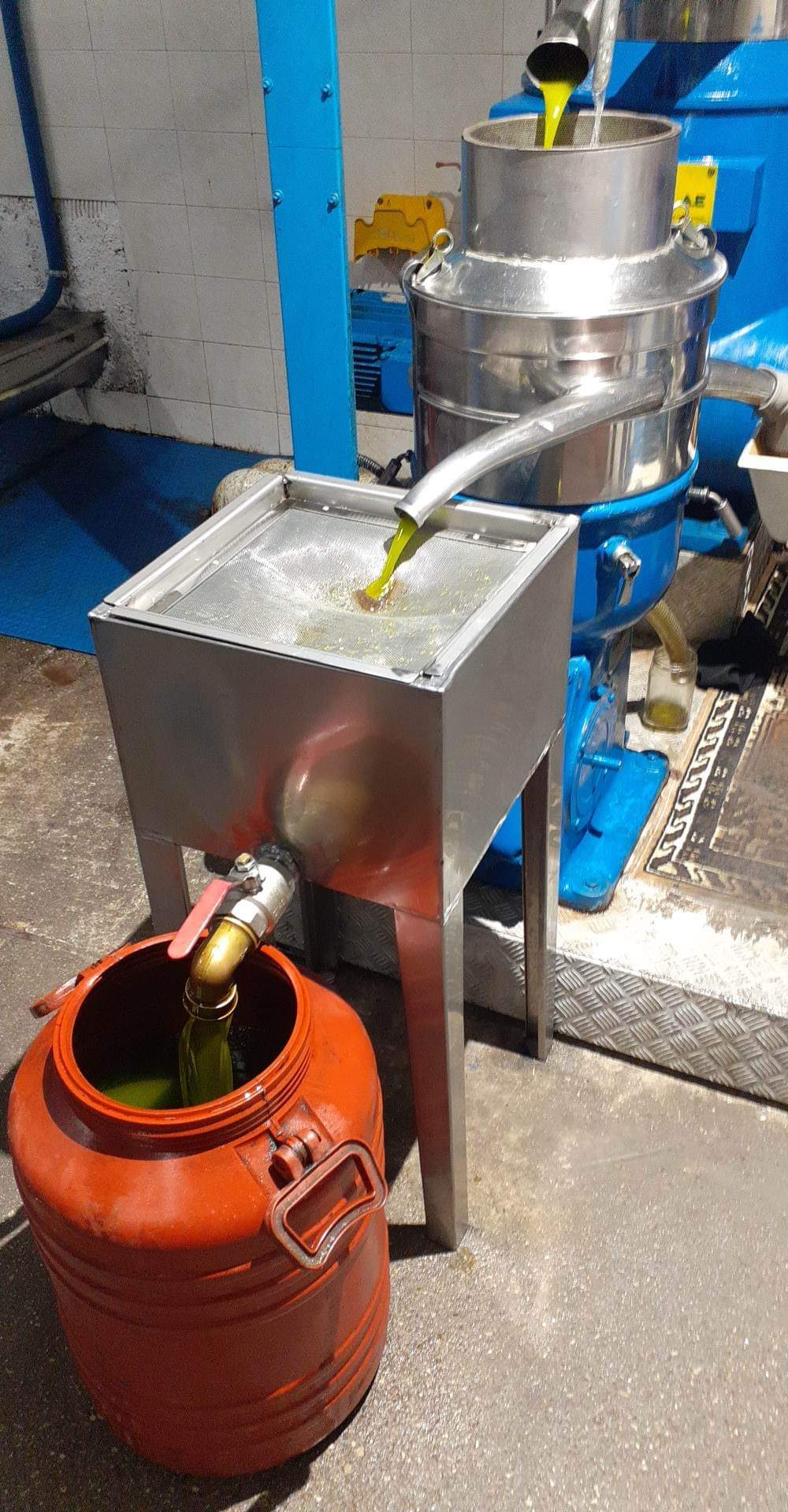 Extra Virgin Olive Oil of Aegialia from Patrinia variety in metal container 18.5L