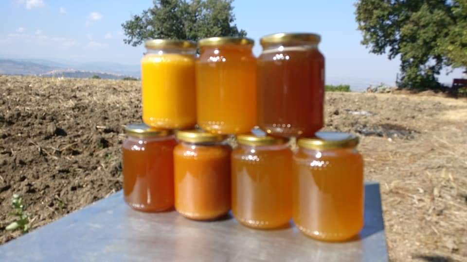 Coriander Honey - 1 kg