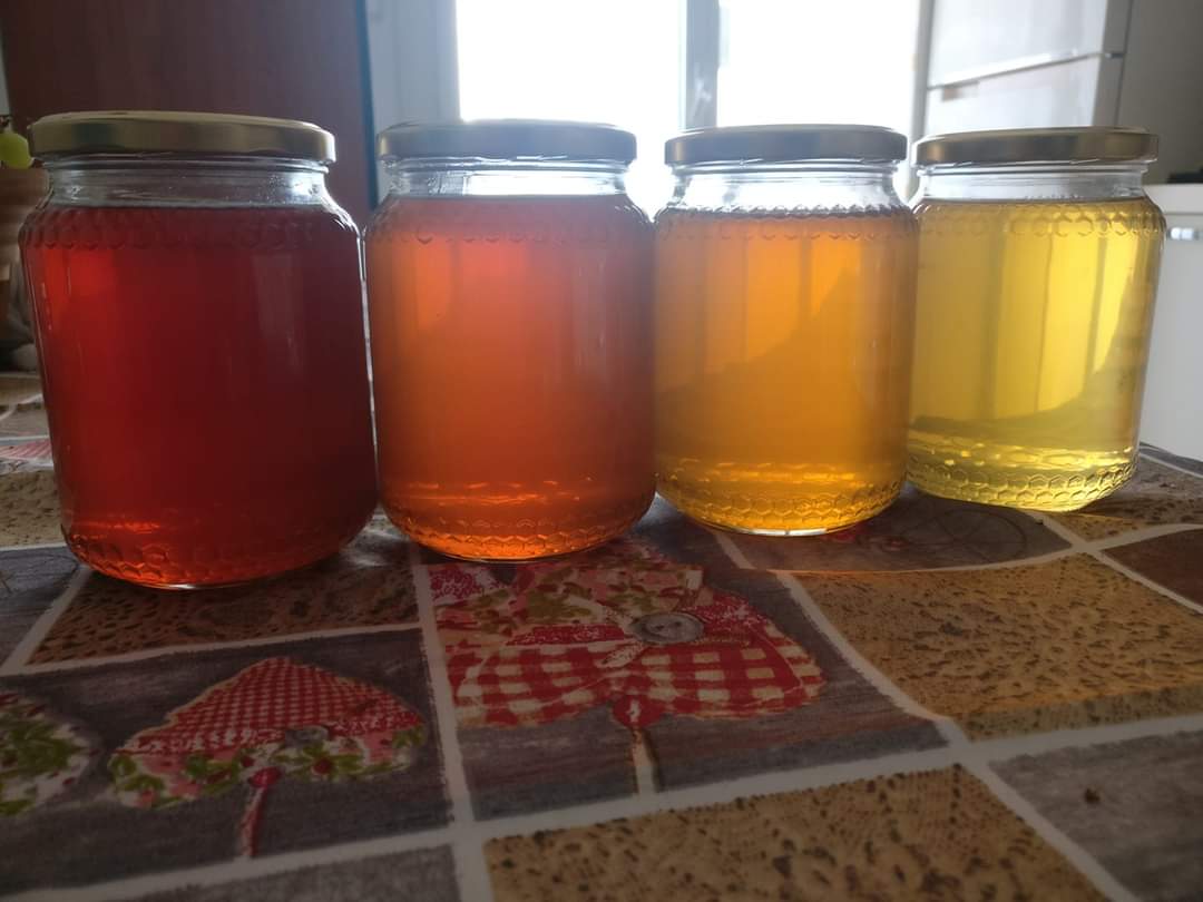 Coriander Honey - 1 kg