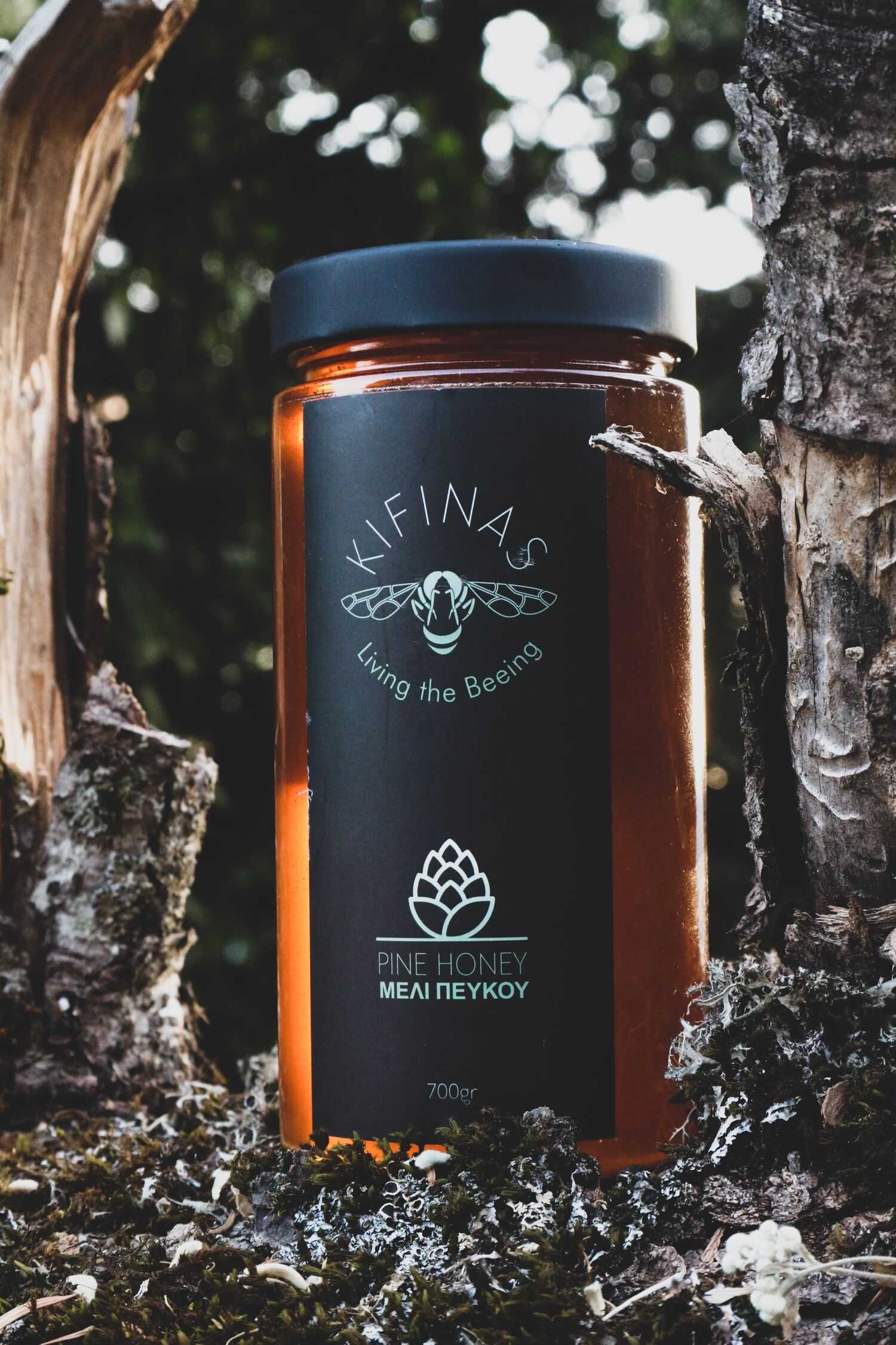 Pine Honey 700g