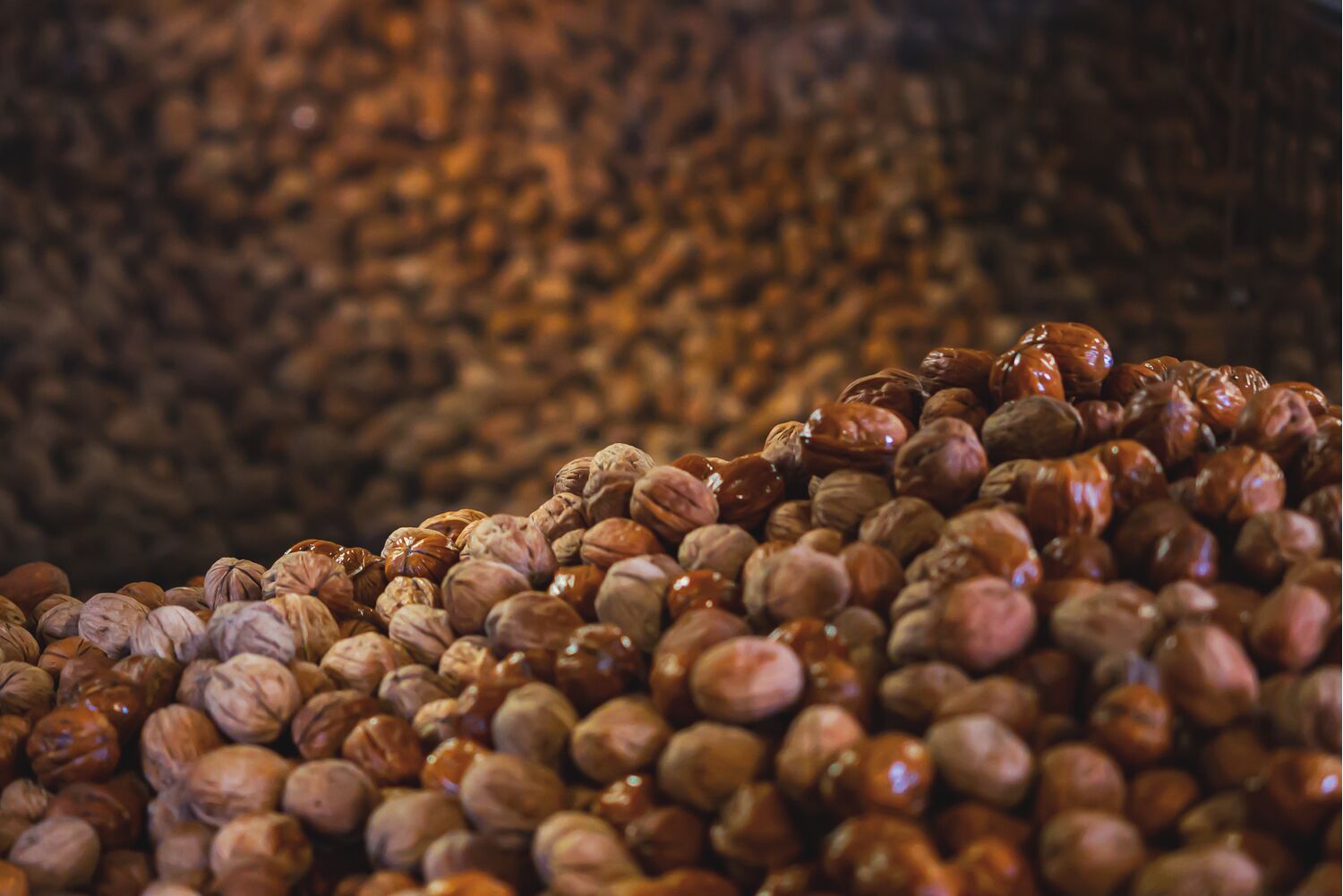 INSHELL WALNUTS dried, Variety: CHANDLER, Class: EXTRA, Size: 30-34mm, Packaging: Rashel net/tag with barcode, net weight:10 kg