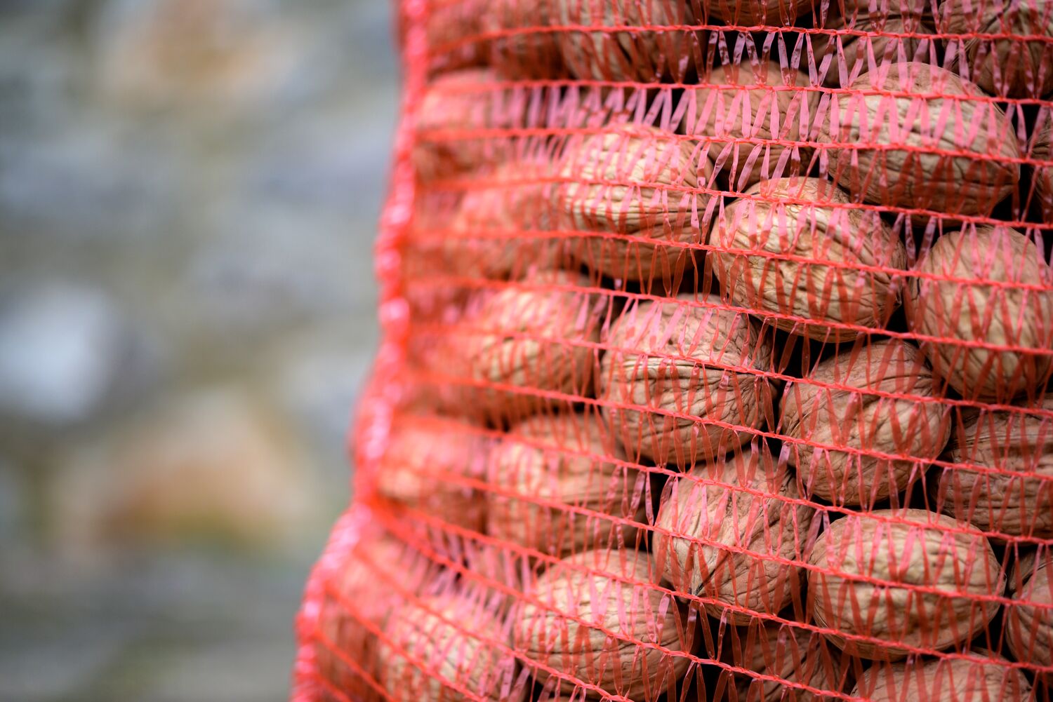 INSHELL WALNUTS dried, Variety: CHANDLER, Class: EXTRA, Size: 30-34mm, Packaging: Rashel net/tag with barcode, net weight:10 kg