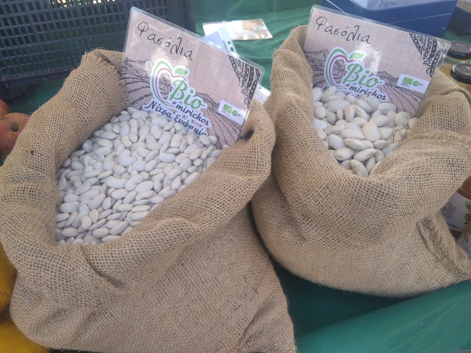 Organic Gigante Beans