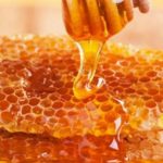 Honey with Honeycomb 300 gr