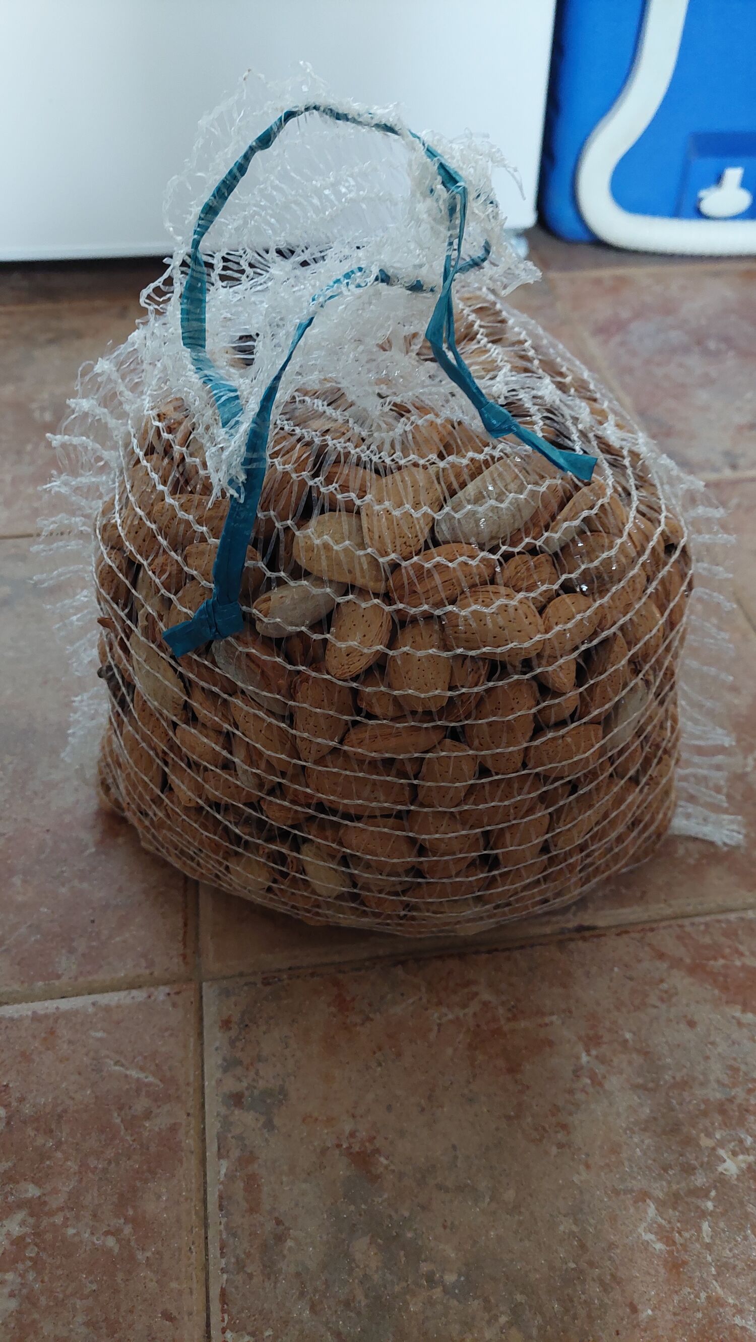 Bellona almond in shell 4 kg