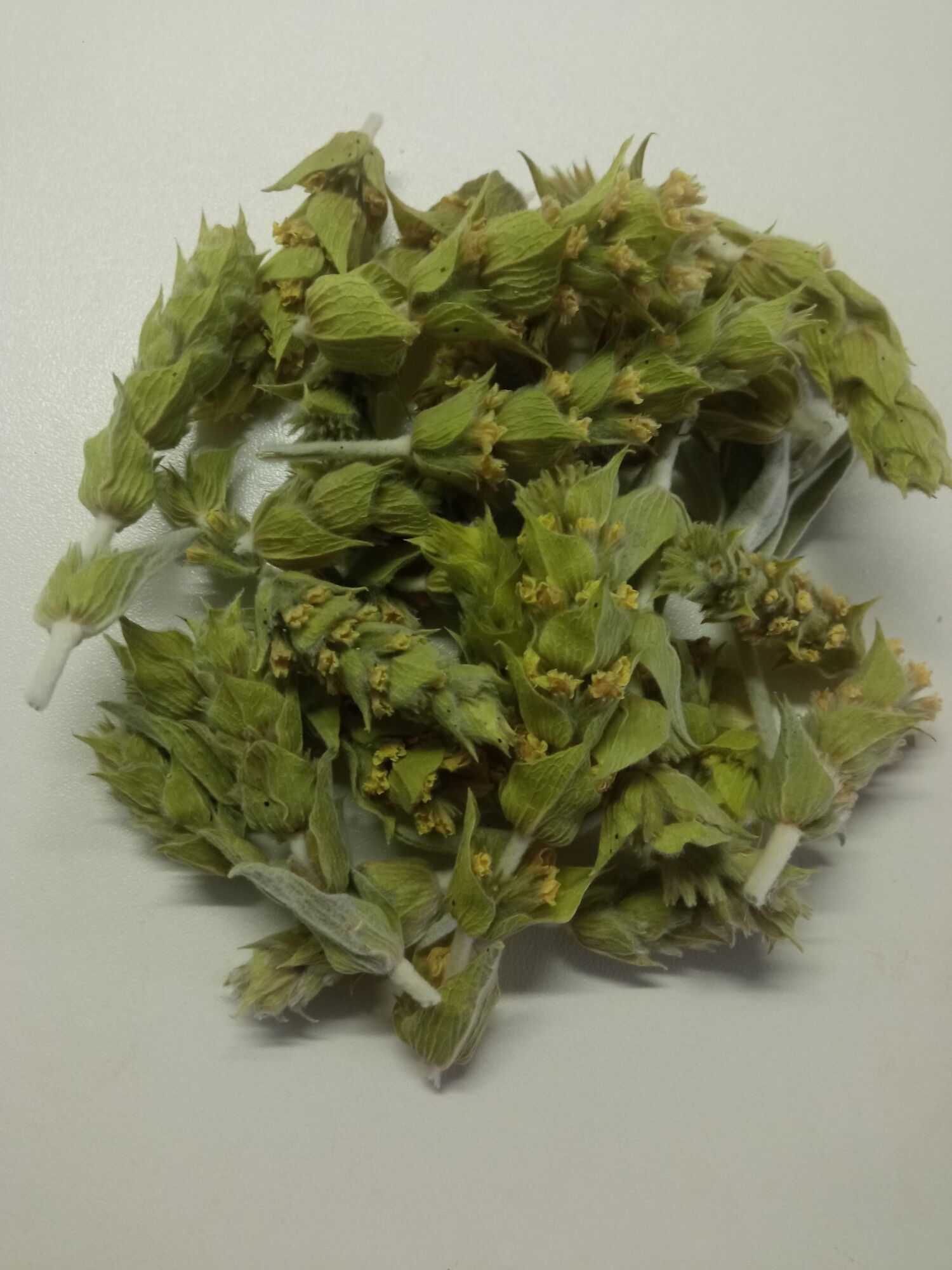 Mountain tea 40gr