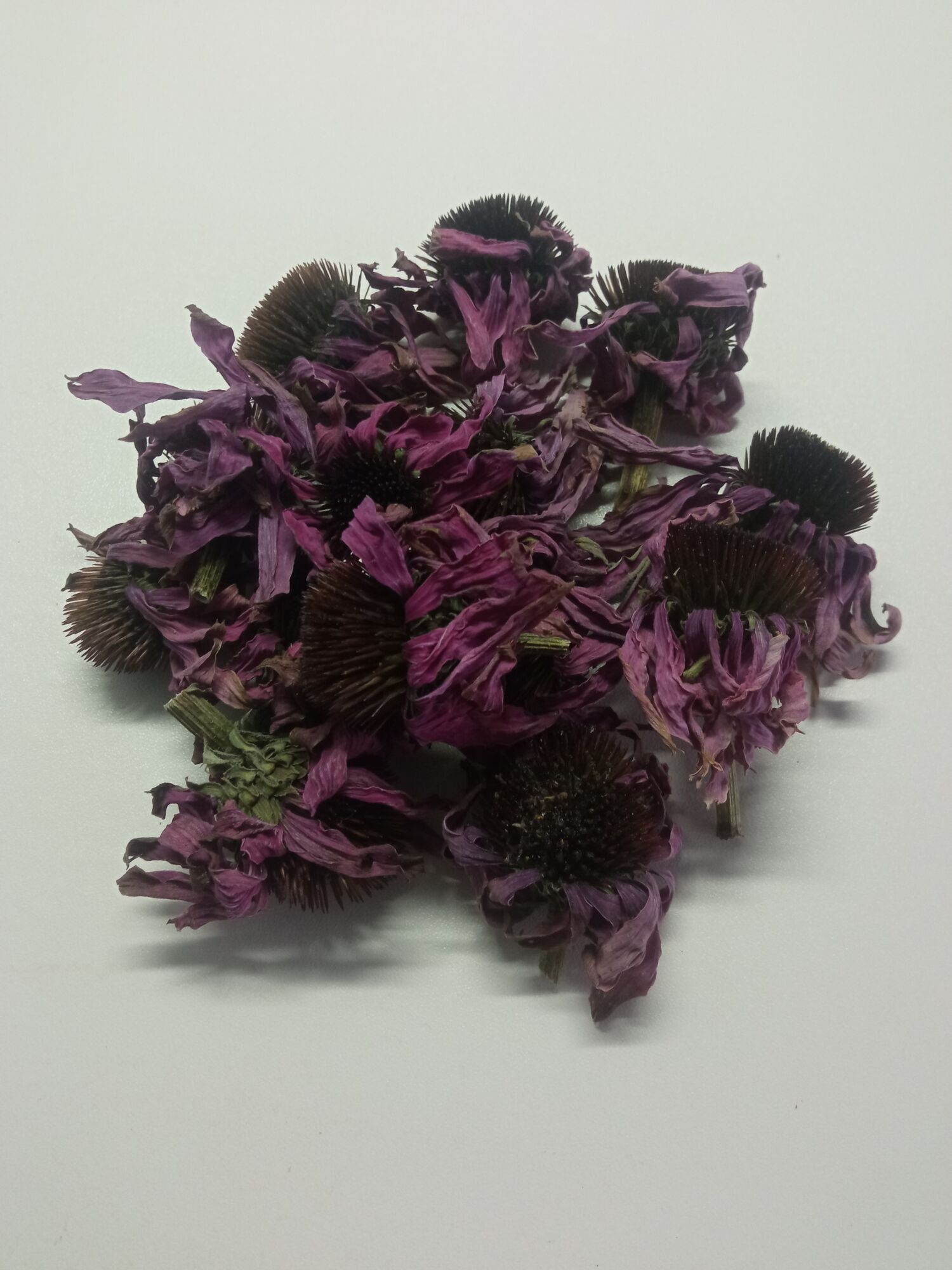 ΒΙΟ Echinacea 30gr
