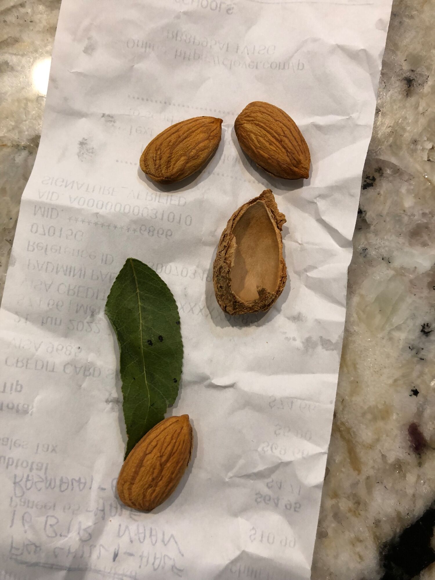 Shelled Almonds 1lbs