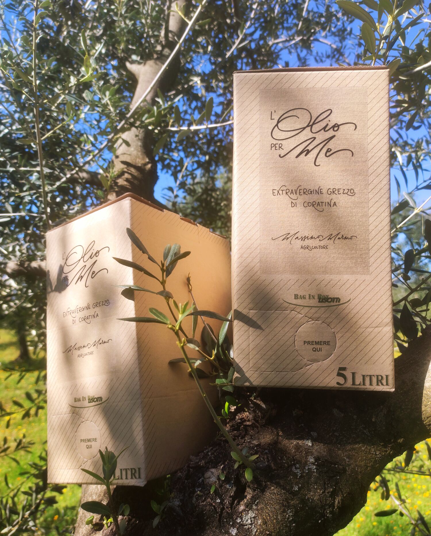 Extra Virgin Olive Oil - Coratina - Unfiltered - Bag in Box 5 Liters