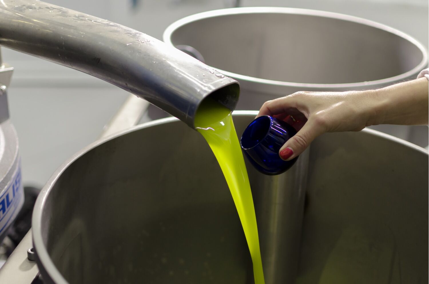 Extra Virgin Olive Oil 3l tin . PDO La Alcarria. Organic. EVOO.