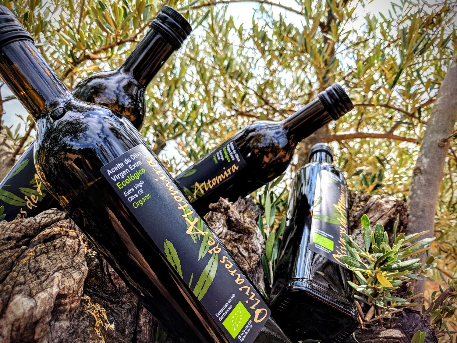 Organic Extra Virgin Olive Oil 250 ml. PDO La Alcarria.