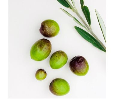 KALAMATA OLIVE PASTE 90gr