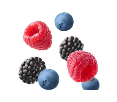 Blueberries var. Tropical blue - Size 12MM+ / 12x125gr clamshell