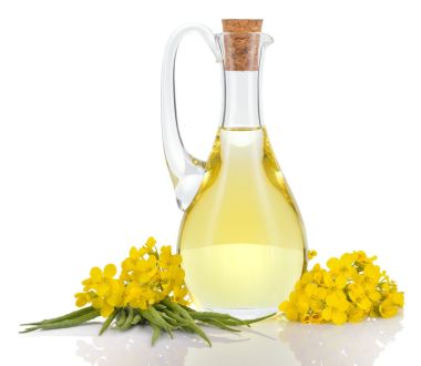 Rapeseed Oil -Refined - Bulk - Price per ton