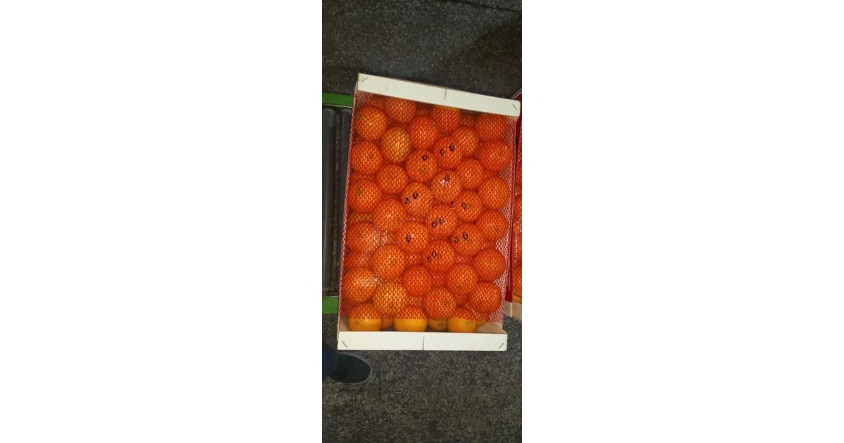 Clementine Nules cassetta da 10kg VélezMálaga Wikifarmer