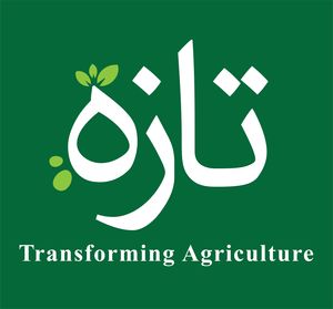 Tazah Technologies Tazah Technologies