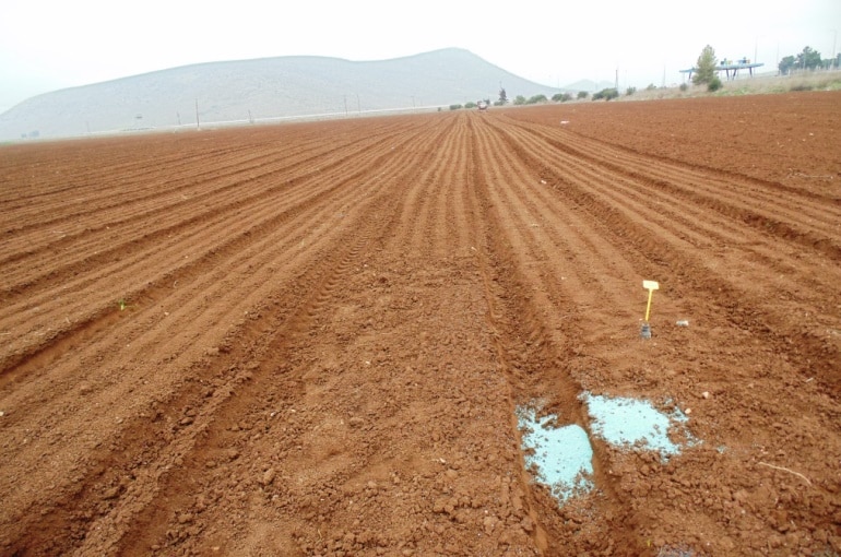 potato garden without dirt