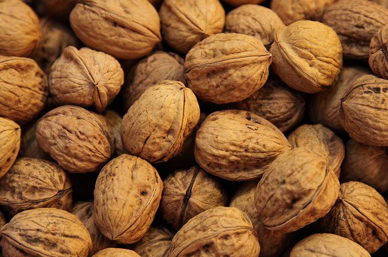 Walnut Tree Harvest & Yields